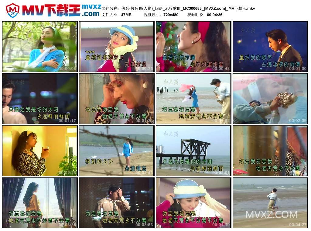 佚名-勿忘我(人物)_国语_流行歌曲_MC300683